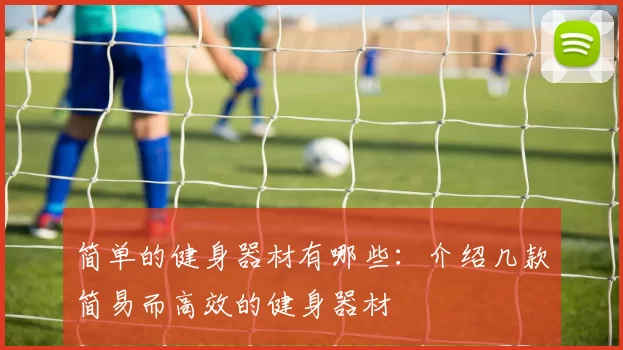 简单的健身器材有哪些：介绍几款简易而高效的健身器材