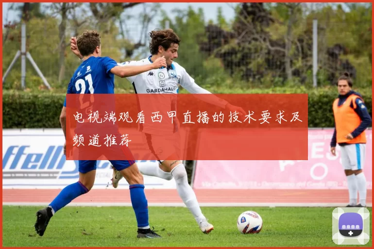 电视端观看西甲直播的技术要求及频道推荐