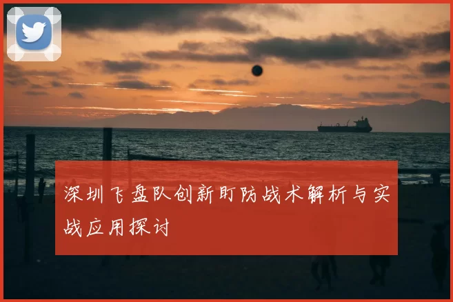 深圳飞盘队创新盯防战术解析与实战应用探讨