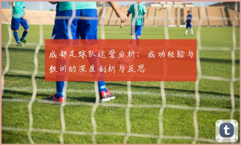 成都足球队运营分析：成功经验与教训的深度剖析与反思