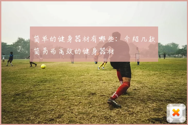 简单的健身器材有哪些：介绍几款简易而高效的健身器材