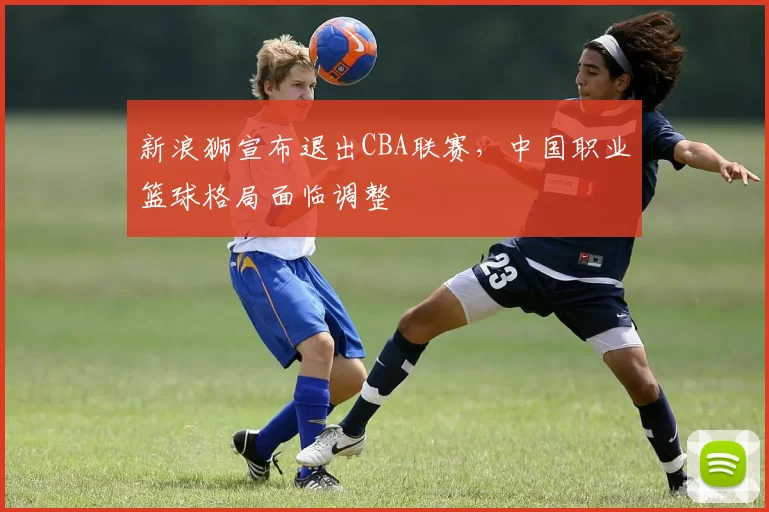 新浪狮宣布退出CBA联赛，中国职业篮球格局面临调整