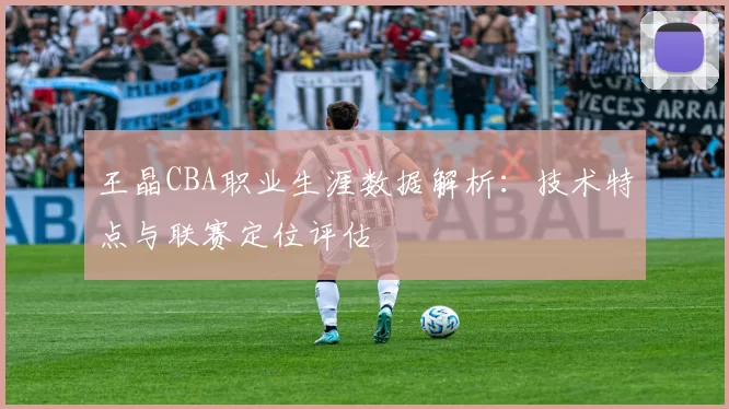 王晶CBA职业生涯数据解析：技术特点与联赛定位评估