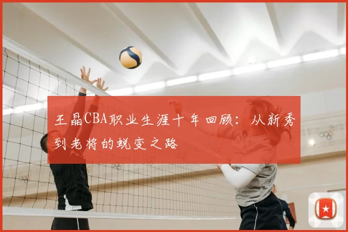 王晶CBA职业生涯十年回顾：从新秀到老将的蜕变之路