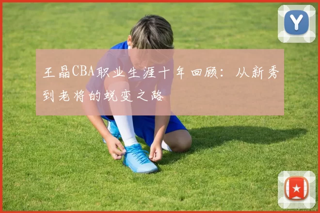 王晶CBA职业生涯十年回顾：从新秀到老将的蜕变之路