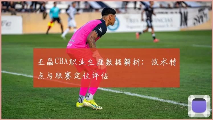 王晶CBA职业生涯数据解析：技术特点与联赛定位评估
