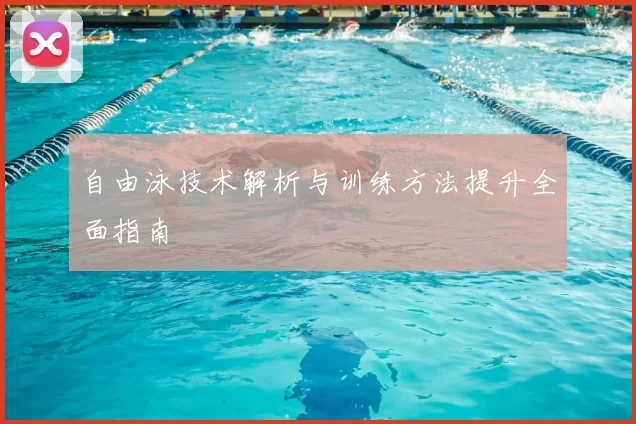 自由泳技术解析与训练方法提升全面指南