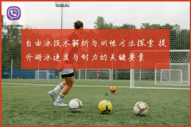 自由泳技术解析与训练方法探索 提升游泳速度与耐力的关键要素