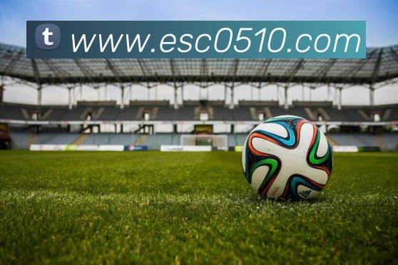 华体会appAPP 封面图